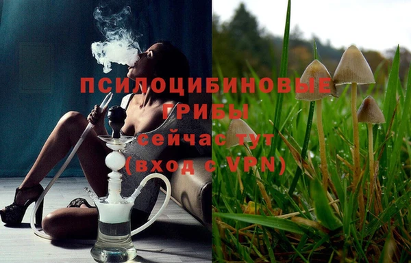 ПСИЛОЦИБИНОВЫЕ ГРИБЫ Верхний Тагил
