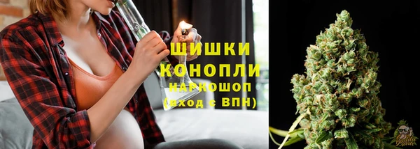 хмурый Вязьма