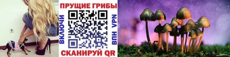 Галлюциногенные грибы MAGIC MUSHROOMS  Дудинка 